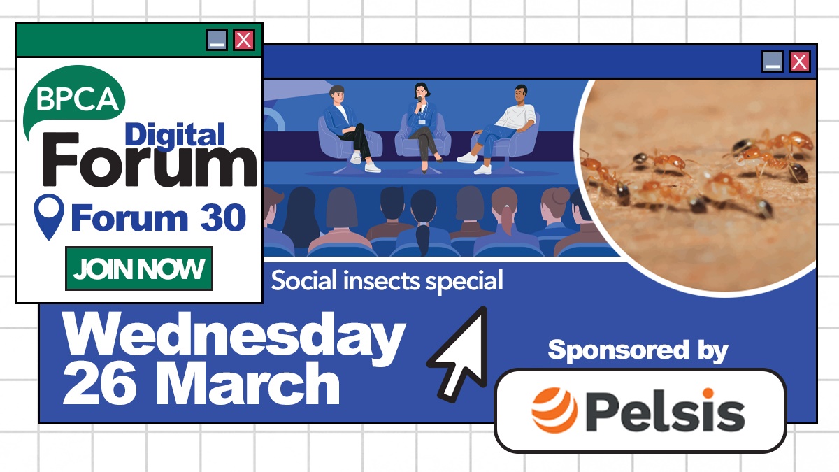 digital forum 30 social insects hero2 digital forum 30 social insects hero2